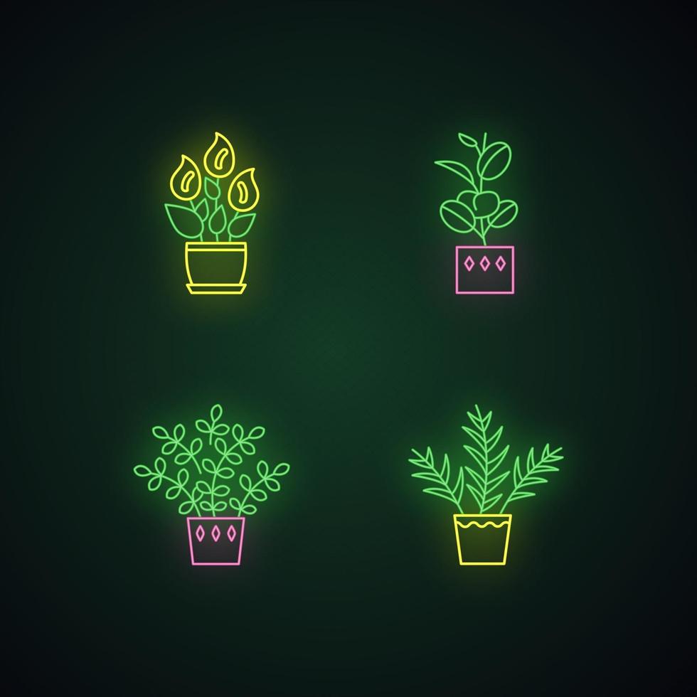 Conjunto de iconos de luz de neón de plantas de interior vector