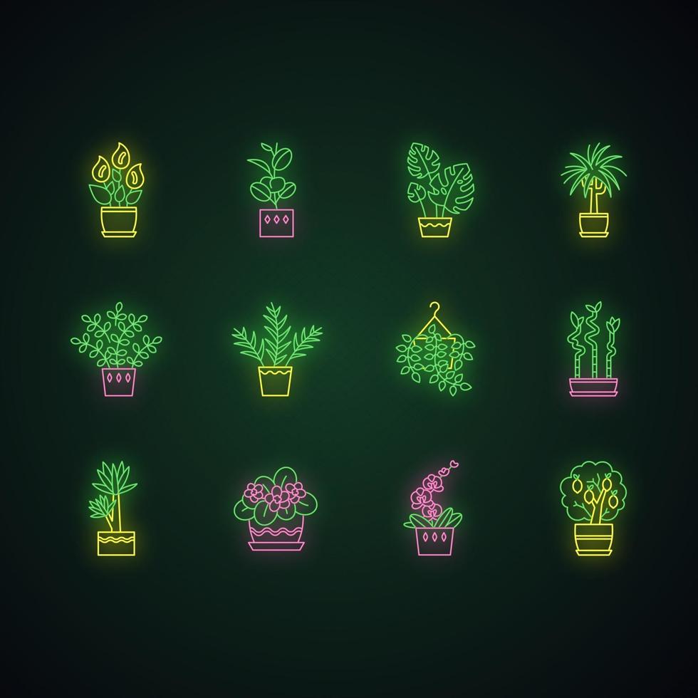 Houseplants neon light icons set vector