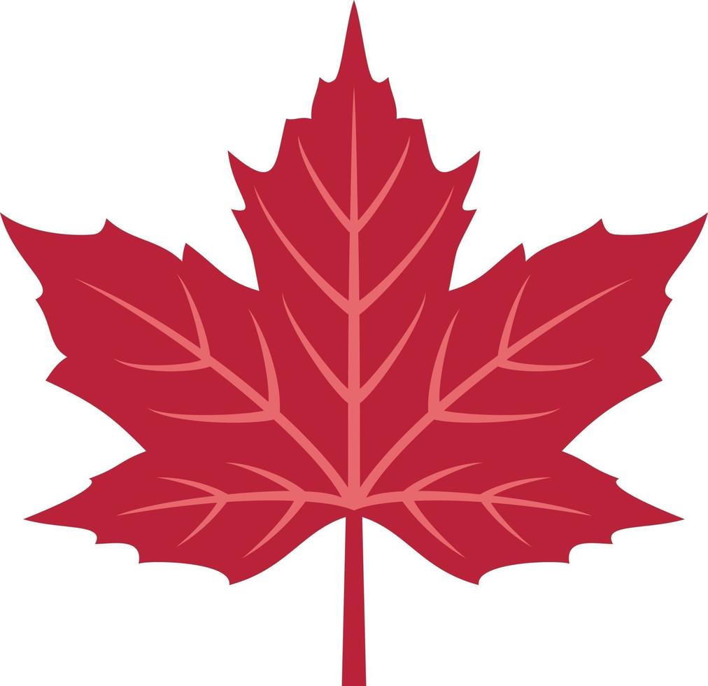 Red Maple Leaf vector