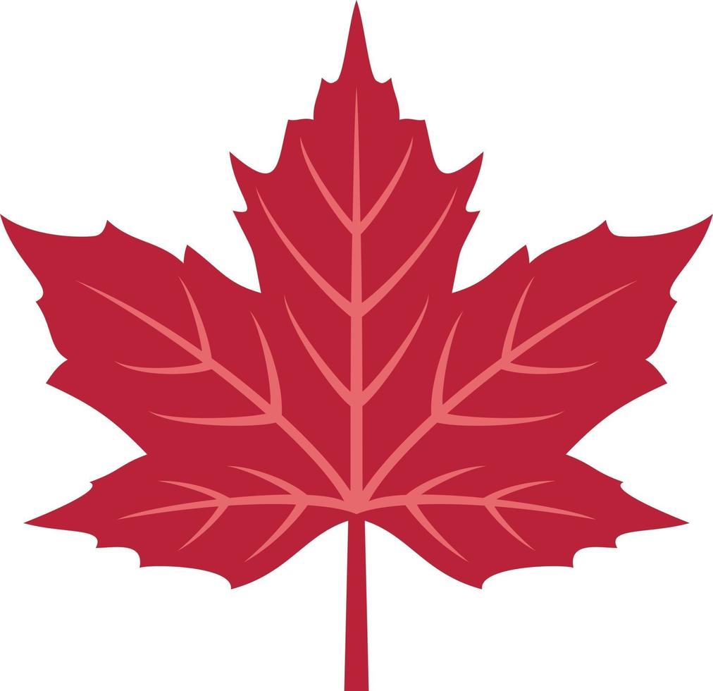 Red Maple Leaf vector