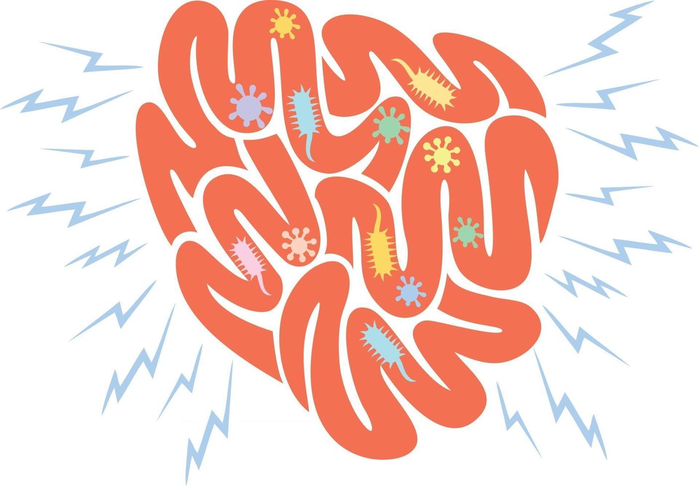 Small Intestine and Bacteria vector