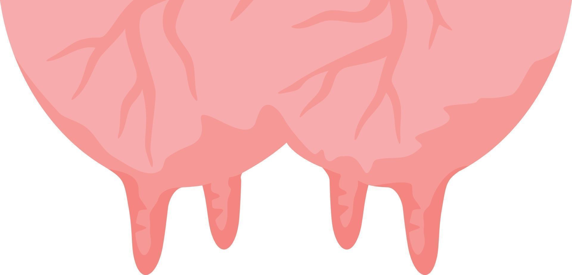 Cow Udder Icon vector
