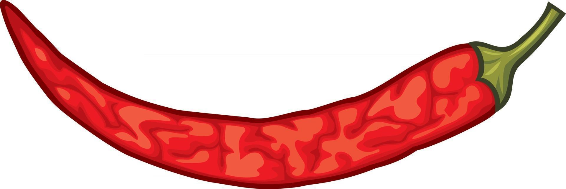 pimiento rojo picante seco vector