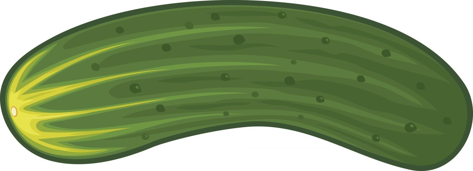 Cucumber Vegetable Icon vector