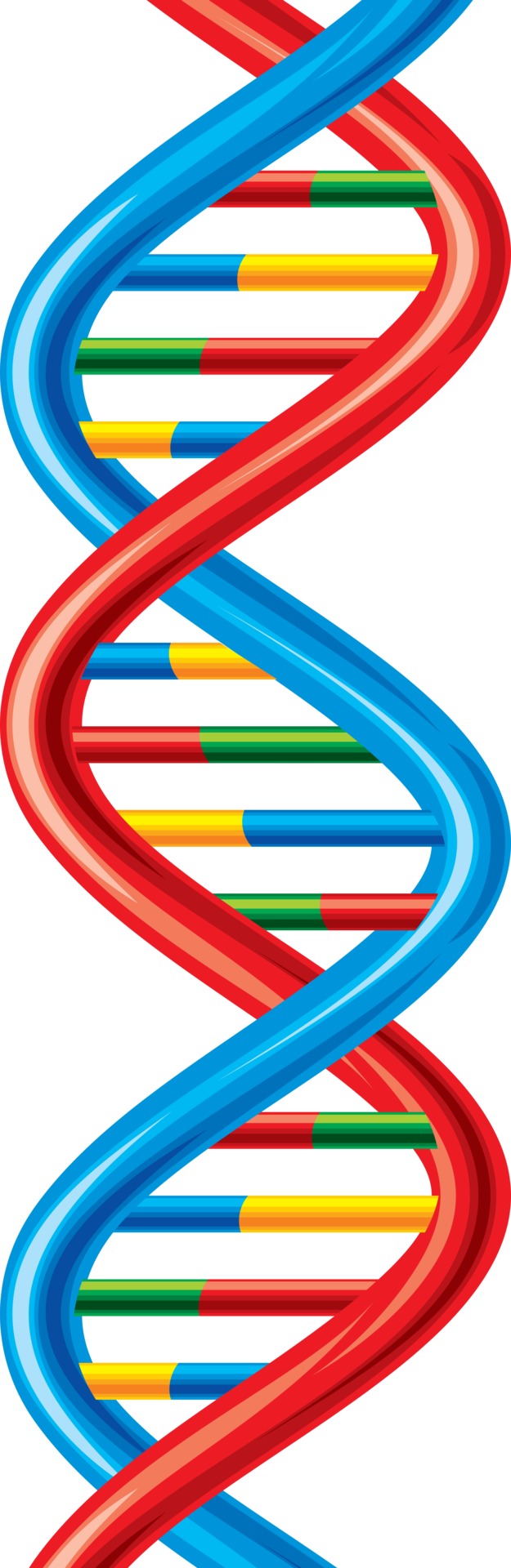 Vector DNA Strand 3190134 Vector Art at Vecteezy