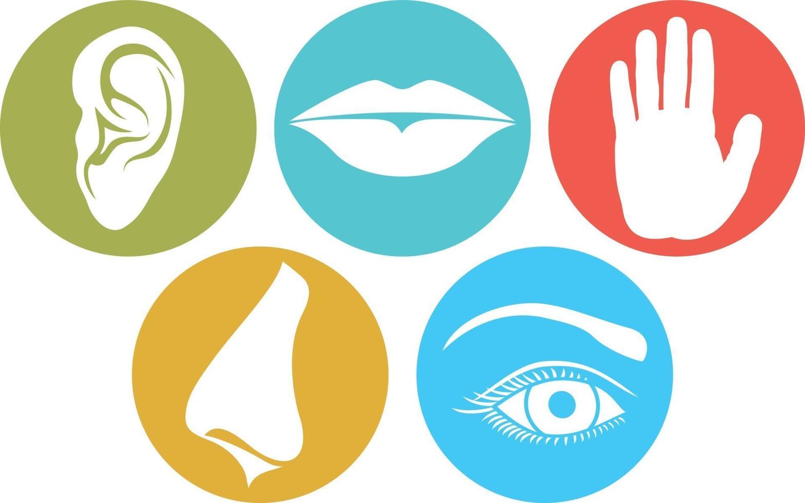 Five Senses Flat Icons vector