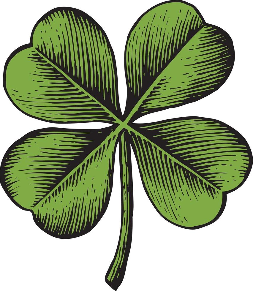 Four Leaf Clover vector