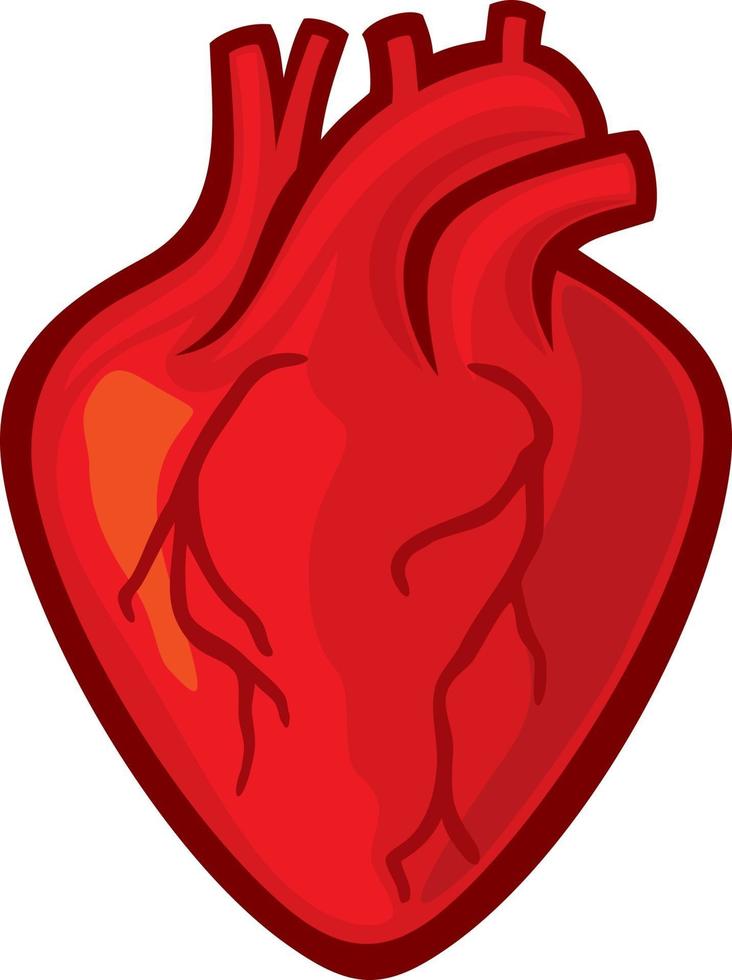 Human Heart Icon vector