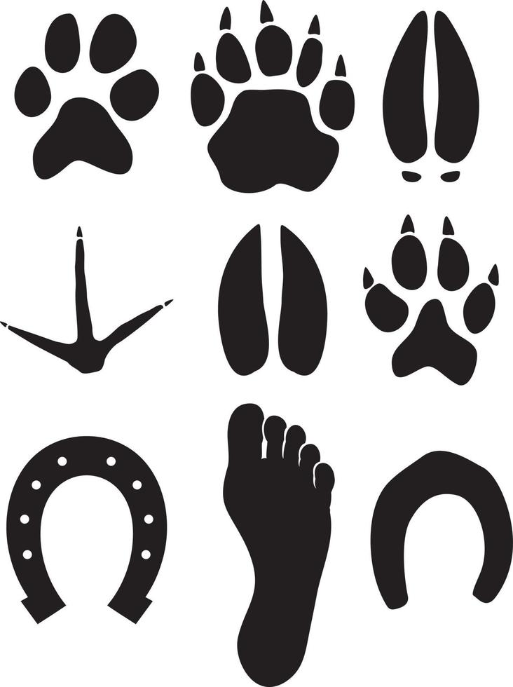Paw Prints Set vector
