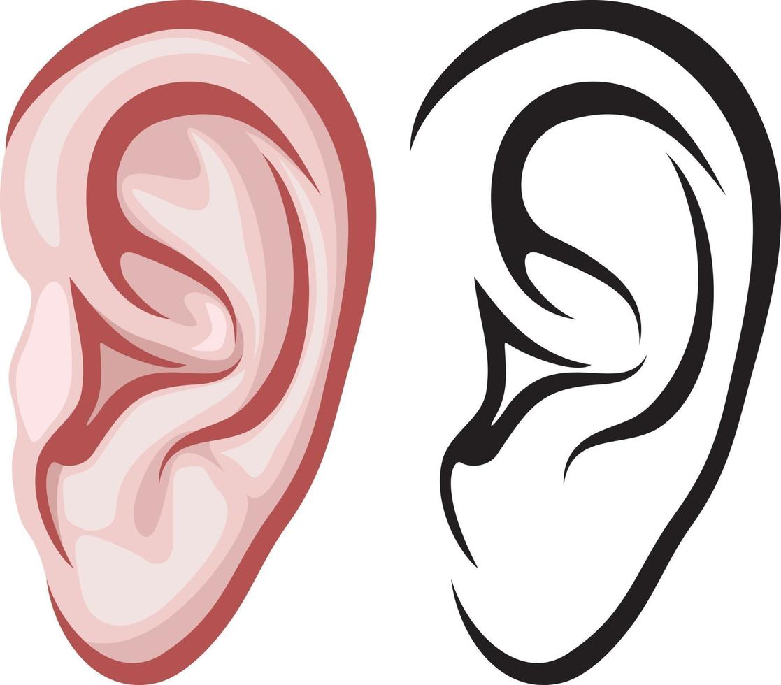 Human Ear Icon vector