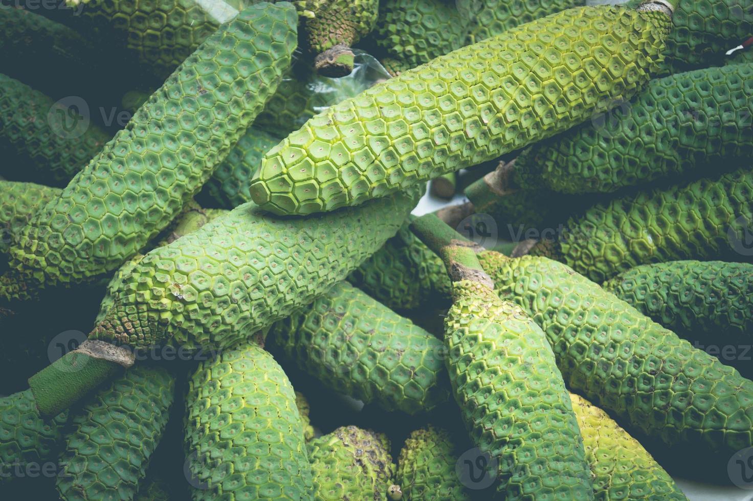 Monstera deliciosa a mix of Pineapple and banana photo