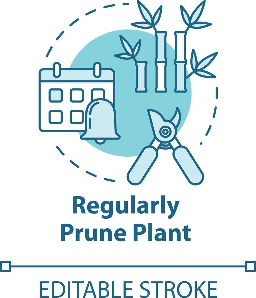 icono de concepto de planta de ciruela regular vector