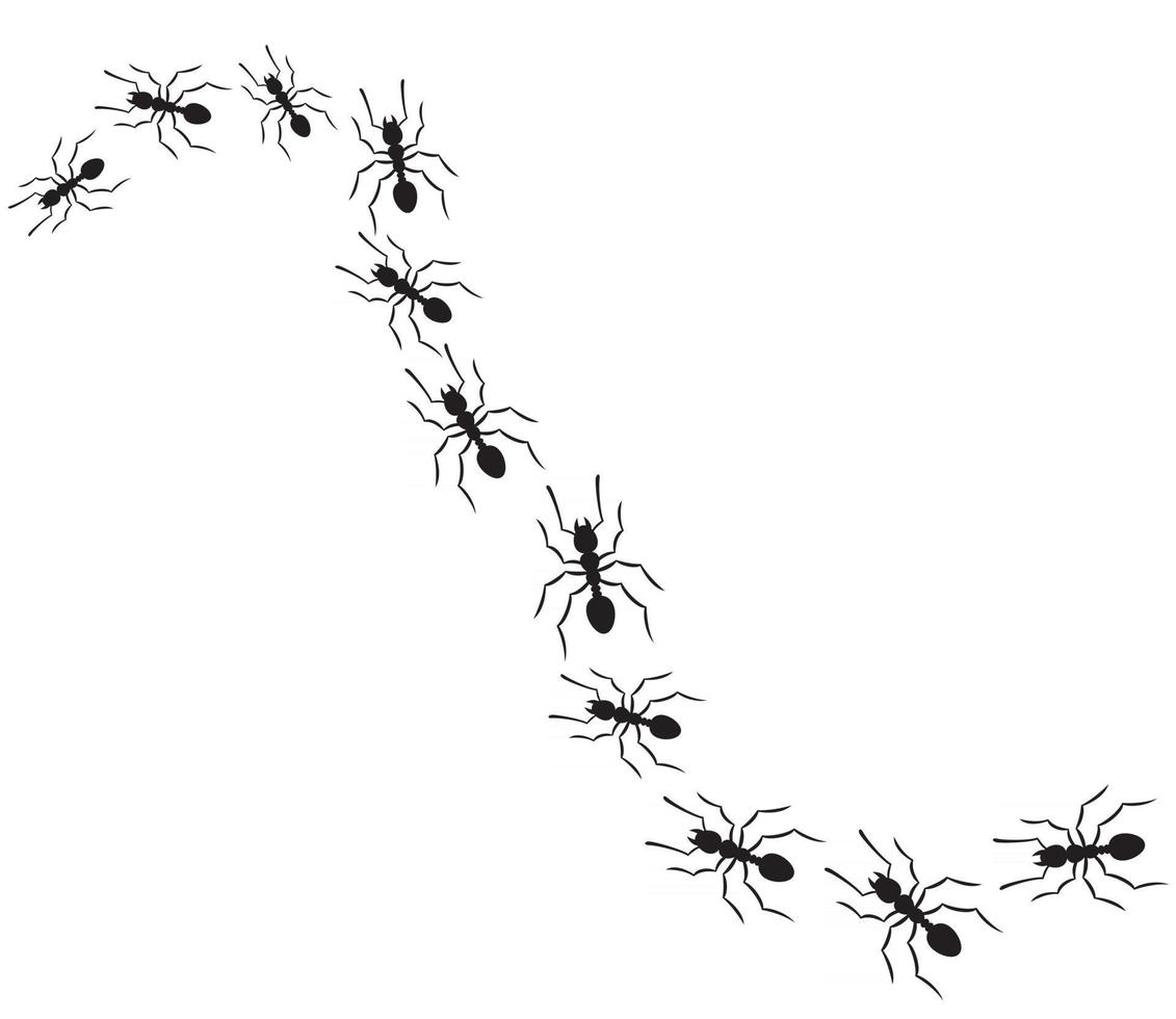 Ants Traveling in a Row vector