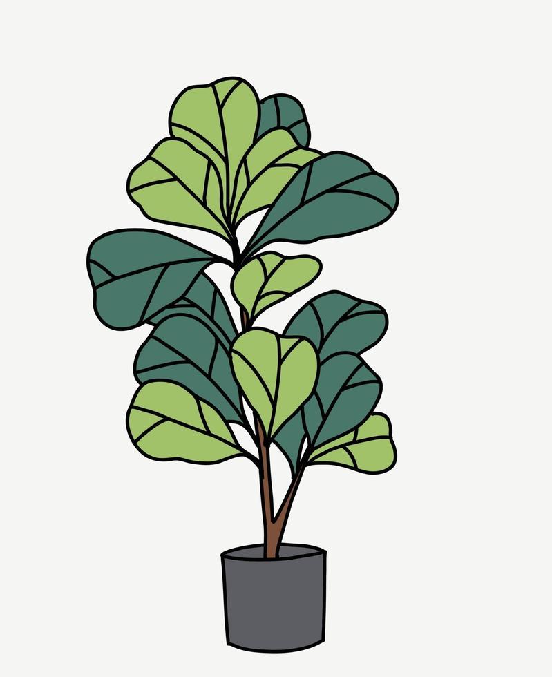 Doodle freehand sketch drawing of fiddle leaf fig tree. vector