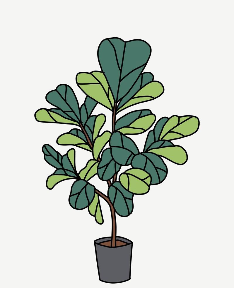 Doodle freehand sketch drawing of fiddle leaf fig tree. vector
