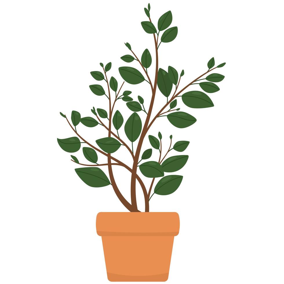 Cute cartoon home plant in clay pot. Vector illustration