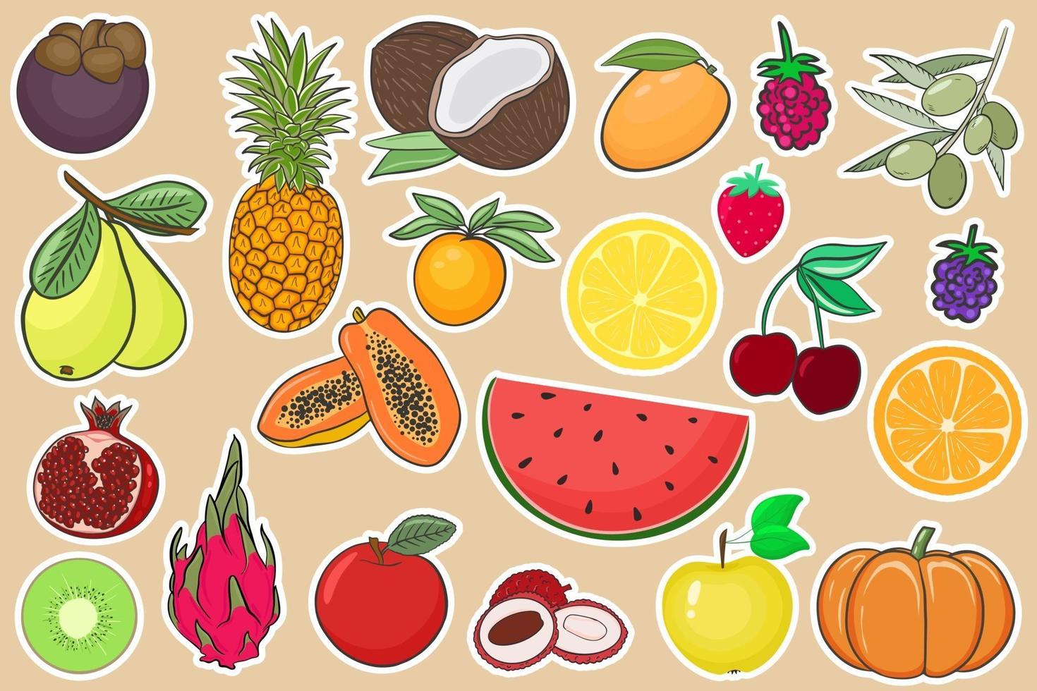 Collection of fruits and berries stickers vector illustration