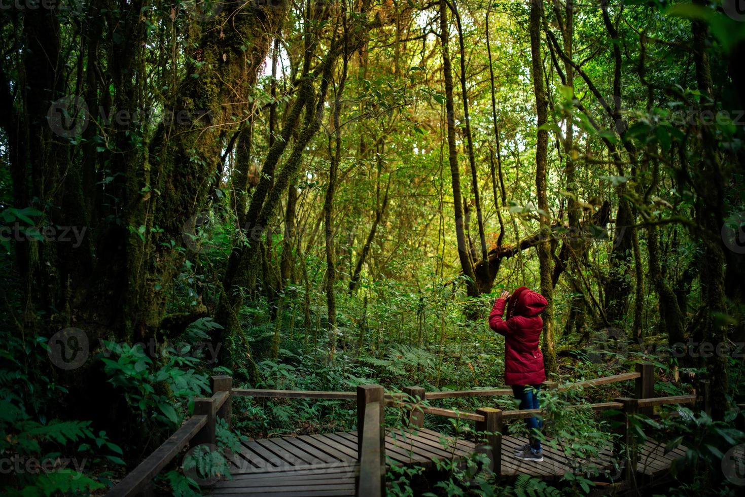 Fotógrafo de mujeres tomando fotos en el bosque de montaña por la mañana