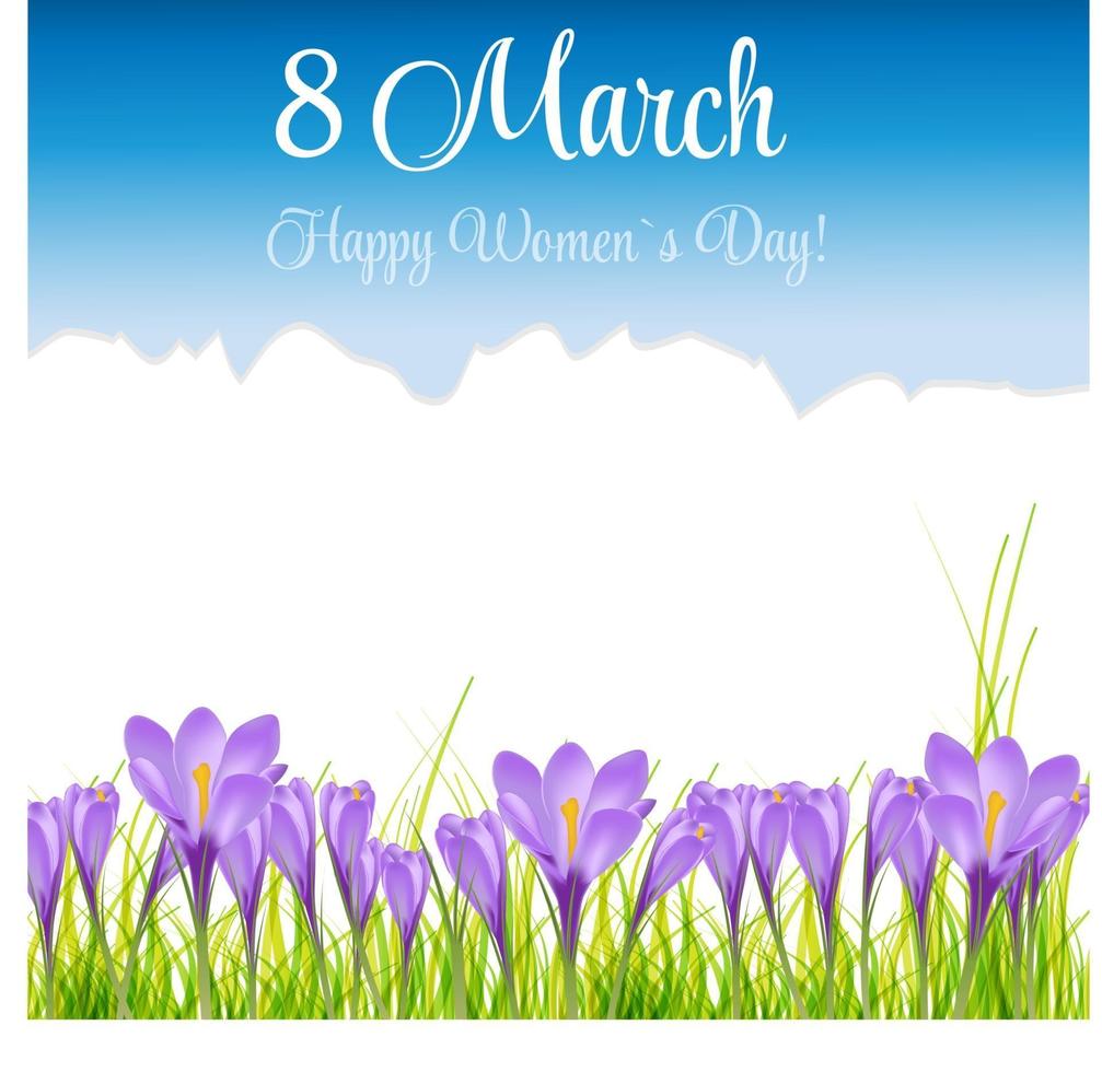 Vector illustration crocus flower background