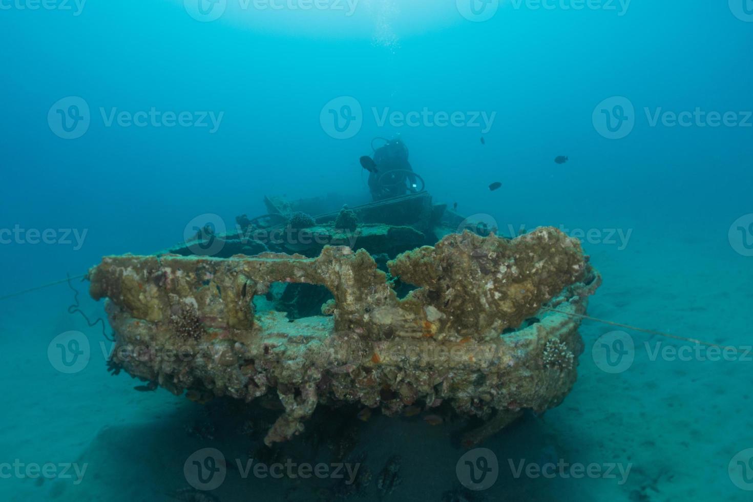 Coral reef and water plants in the Red Sea, Eilat Israel photo