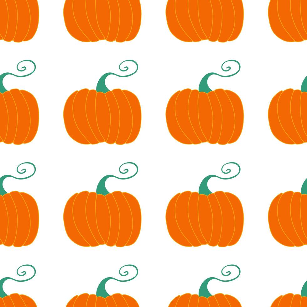 Pumpkin seamless pattern. Harvest concept Isolated on white background vector