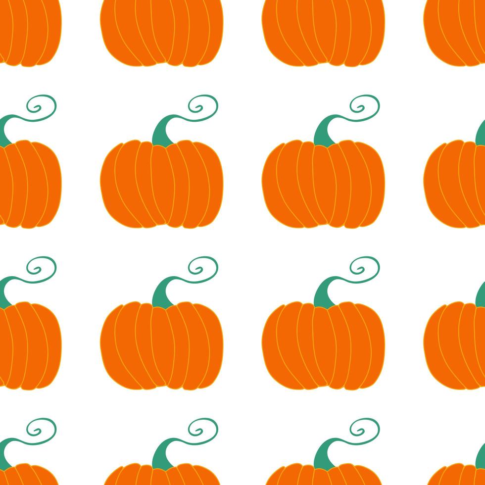 Pumpkin seamless pattern. Harvest concept Isolated on white background vector