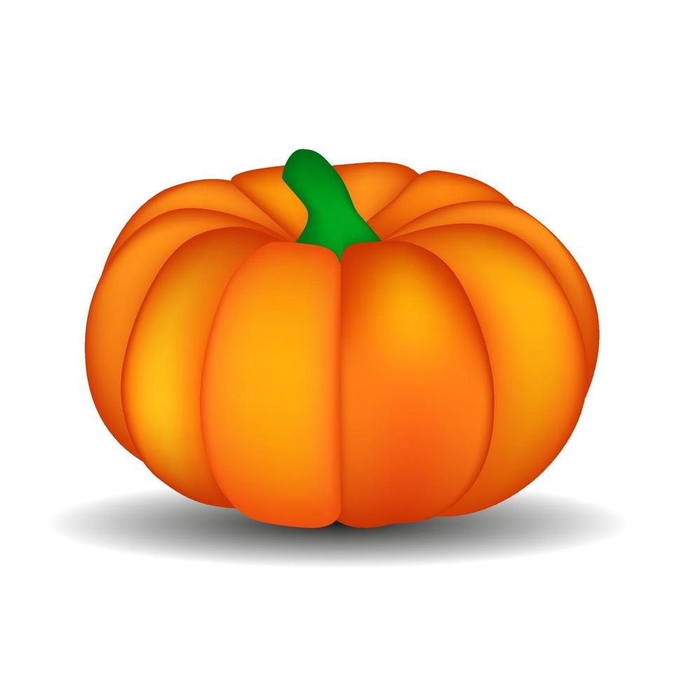 Calabaza naranja fresca aislada en la ilustración de vector de fondo blanco