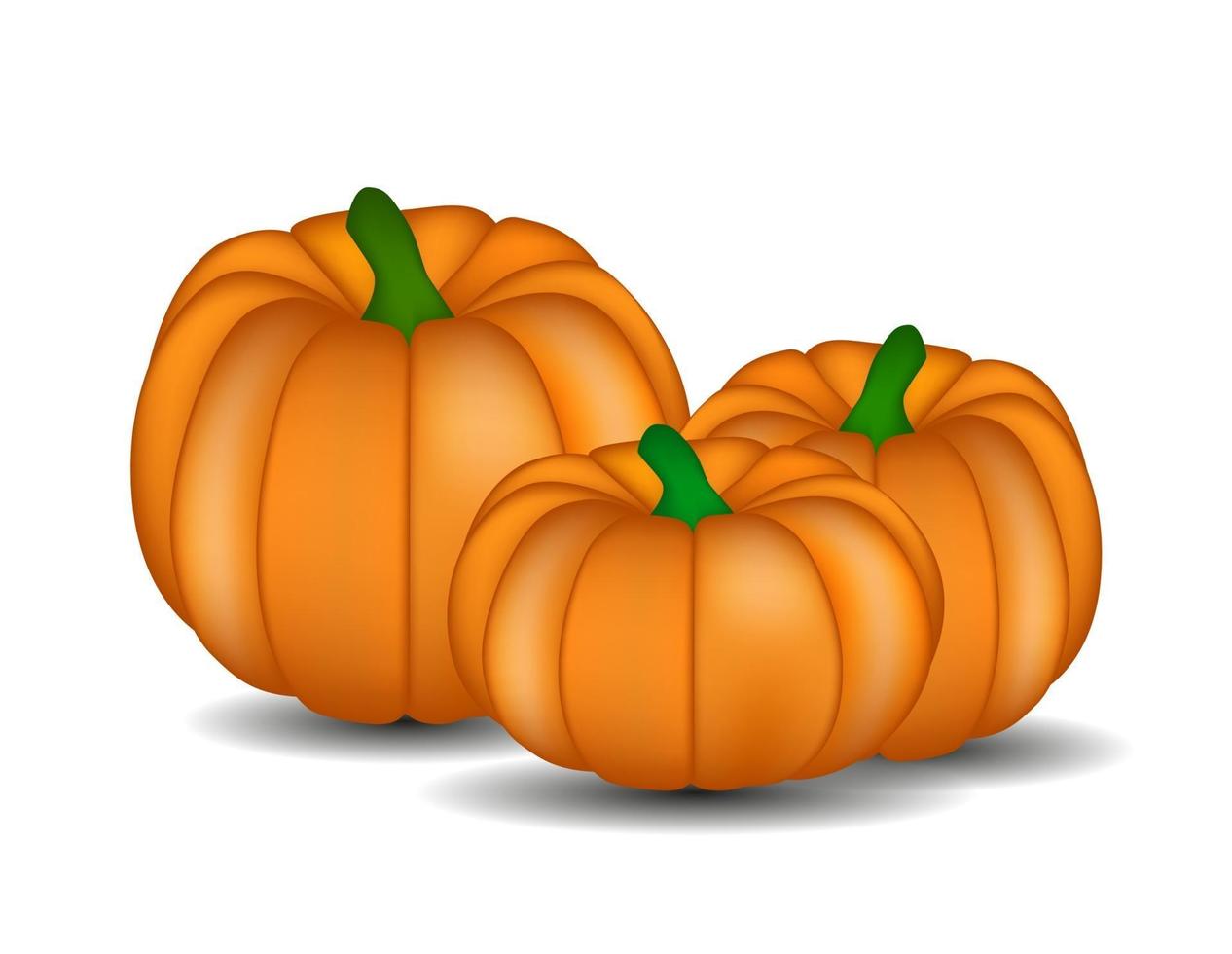 Fresh Orange Pumpkin Isolated on White Background Vector Illustration