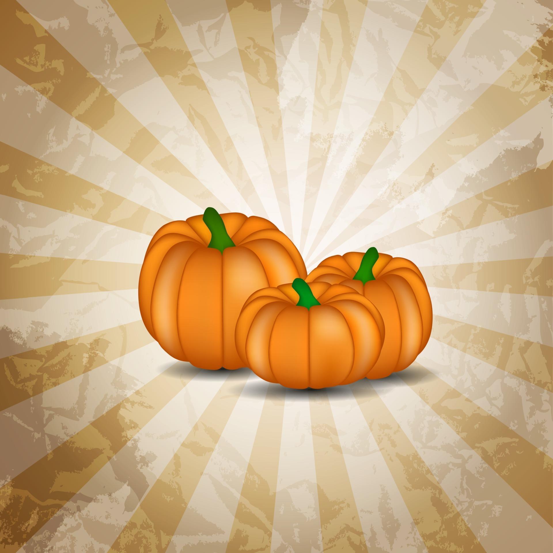 Orange Pumpkin Background Vector Illustration 3195704 Vector Art at