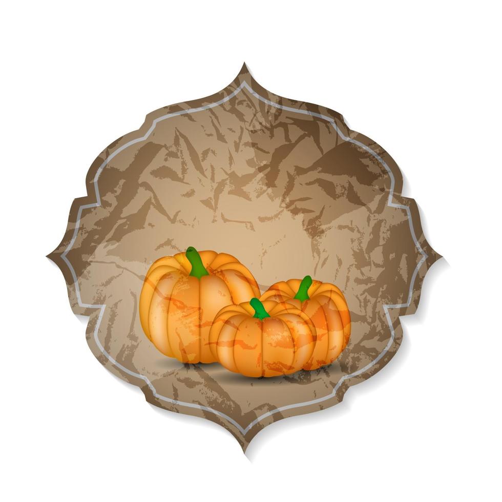 Orange Pumpkin  Background Vector Illustration