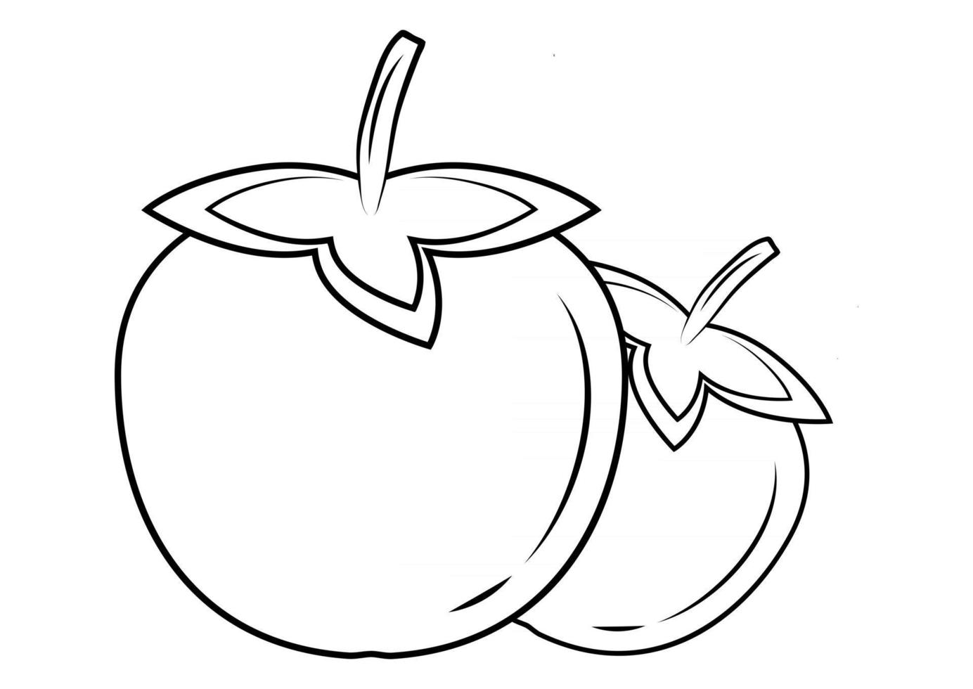 Persimmon outline vector icon. Thin line black kaki fruit icon. Persimmon symbo