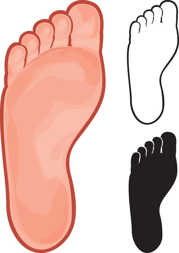 Silhouette of Human Foot vector