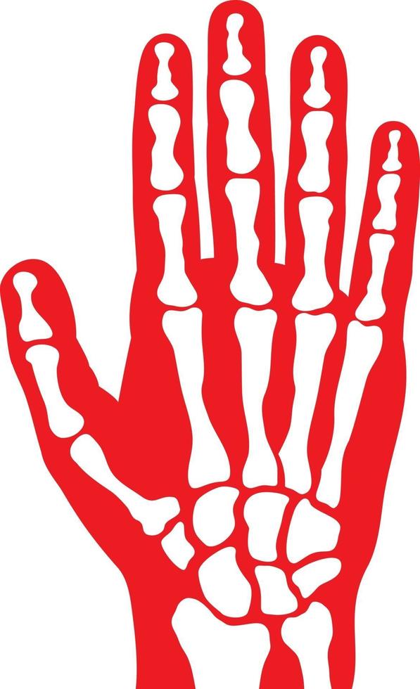 esqueleto de la mano humana vector