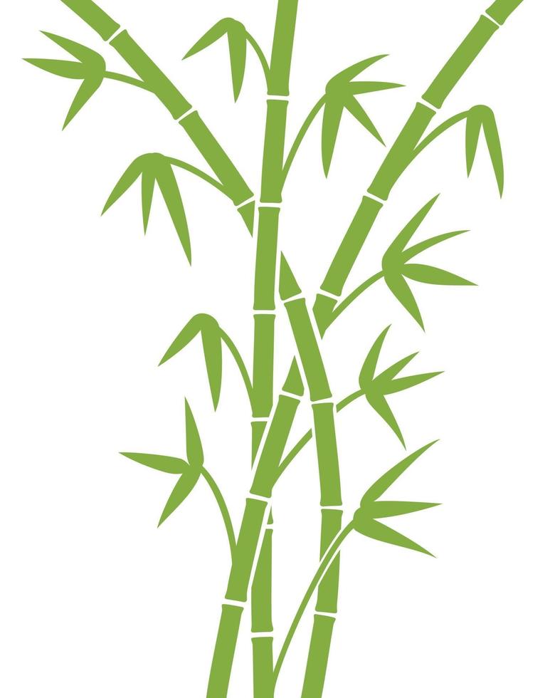 Green Bamboo Stems vector