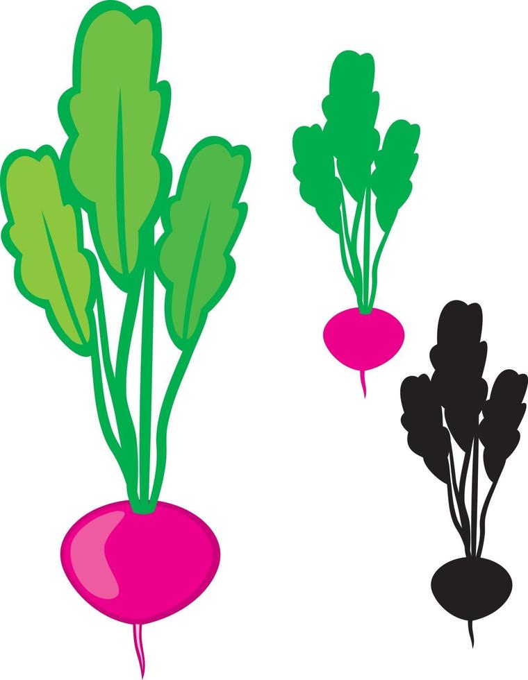 Radish Vegetable Icon vector