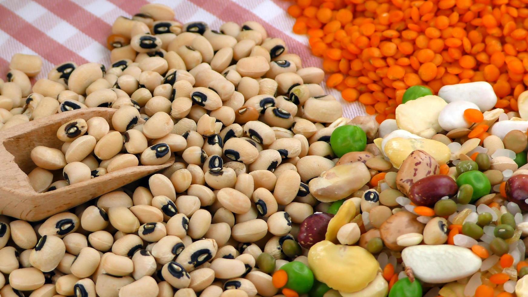 Healthy Vegetarian Raw Food Legumes photo