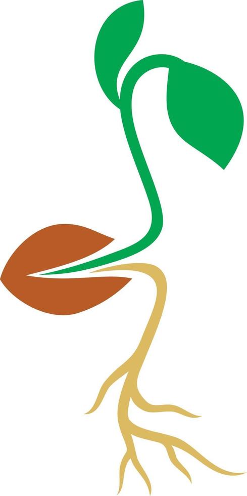 diseño de cultivo de plantas vector