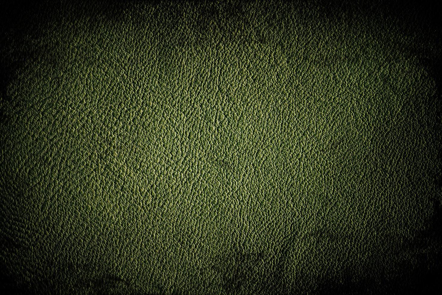 Seamless Real Leather Pattern photo