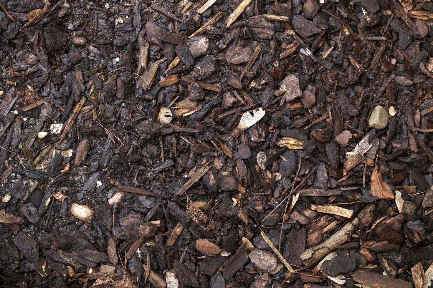 Autumn Fall Dry Leaves Seasonal Flora Concept photo