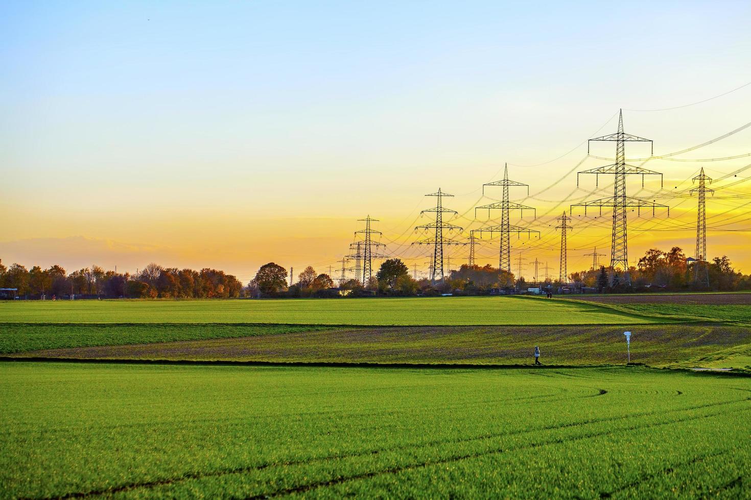 Green Farm Area Field in Nature photo