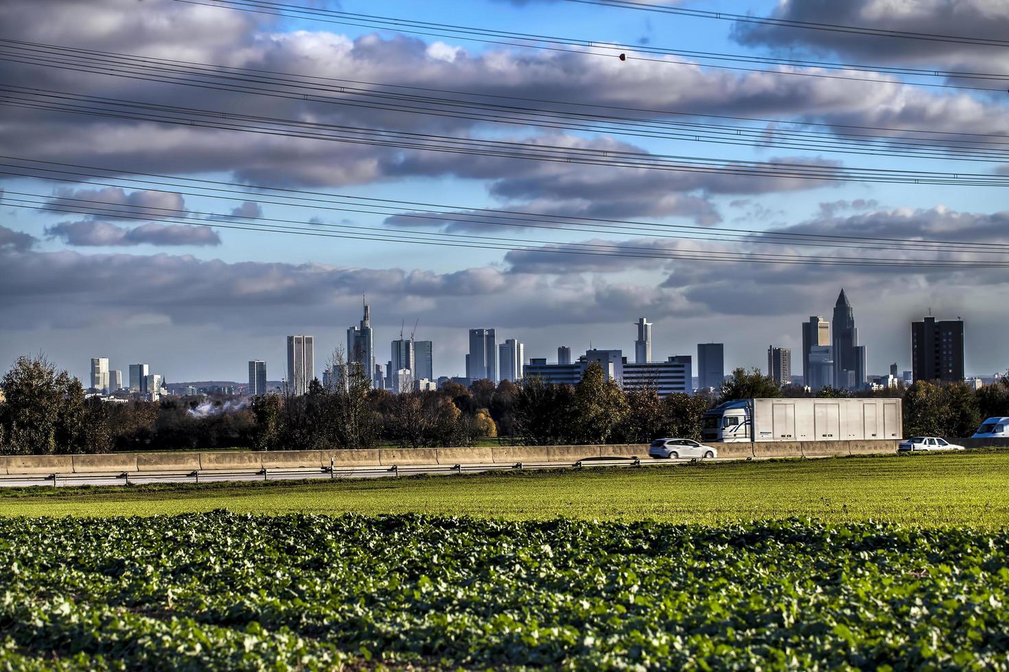 Green Farm Area Field in Nature photo