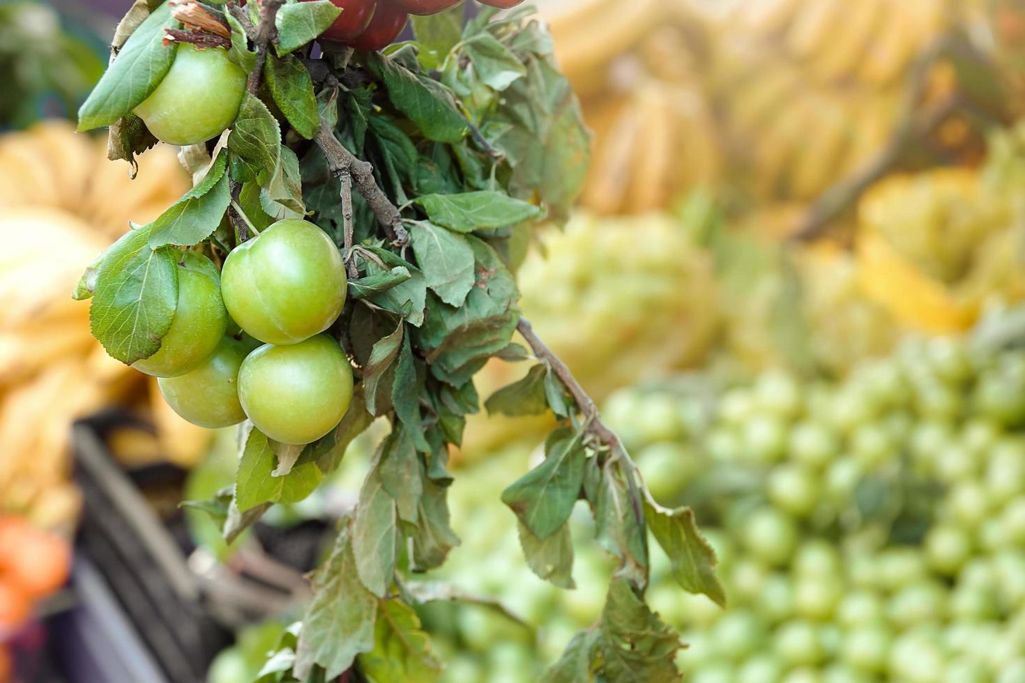 Organic Fruit Plum on the Branch in Grocery photo