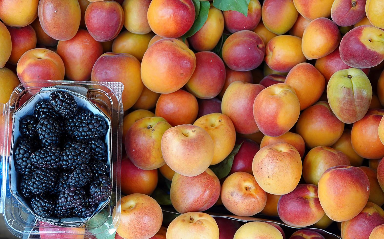 Organic Fruit Mulberry and Apricot photo