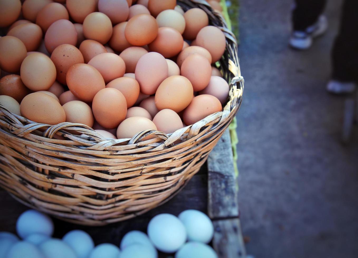 alimentos proteína orgánica pollo huevos crudos foto