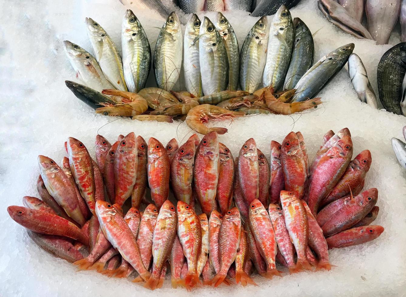 Pescados de mariscos frescos crudos en hielo foto