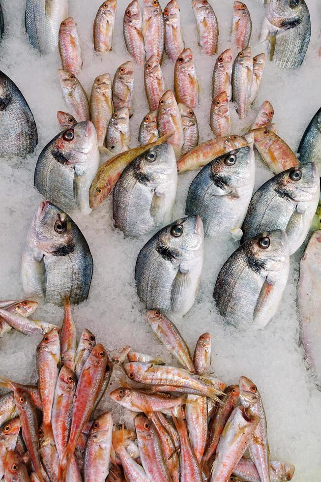 Comida para peces en un puesto de mercado de pescado. foto