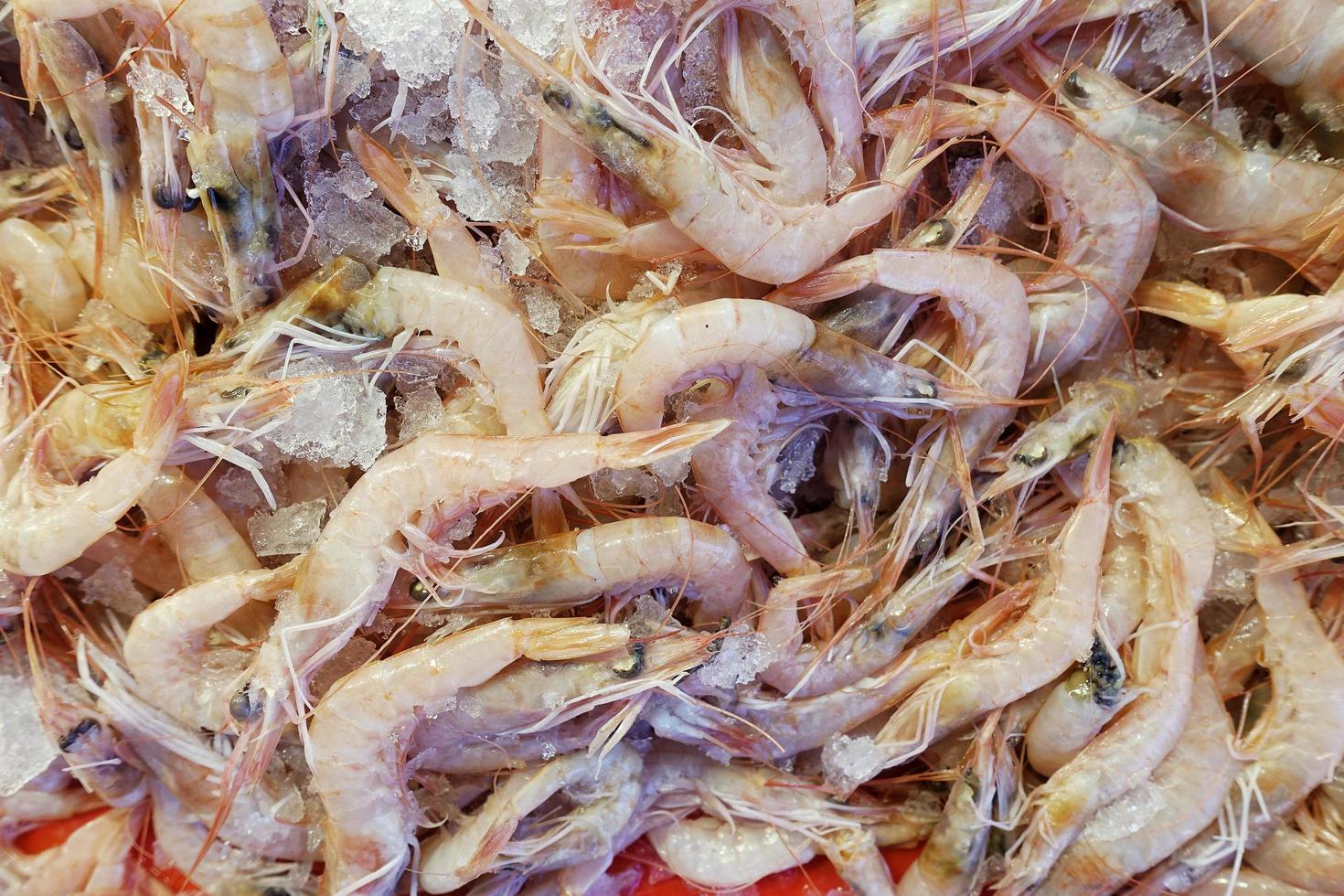 Fish Food in a Fish Market Stand photo