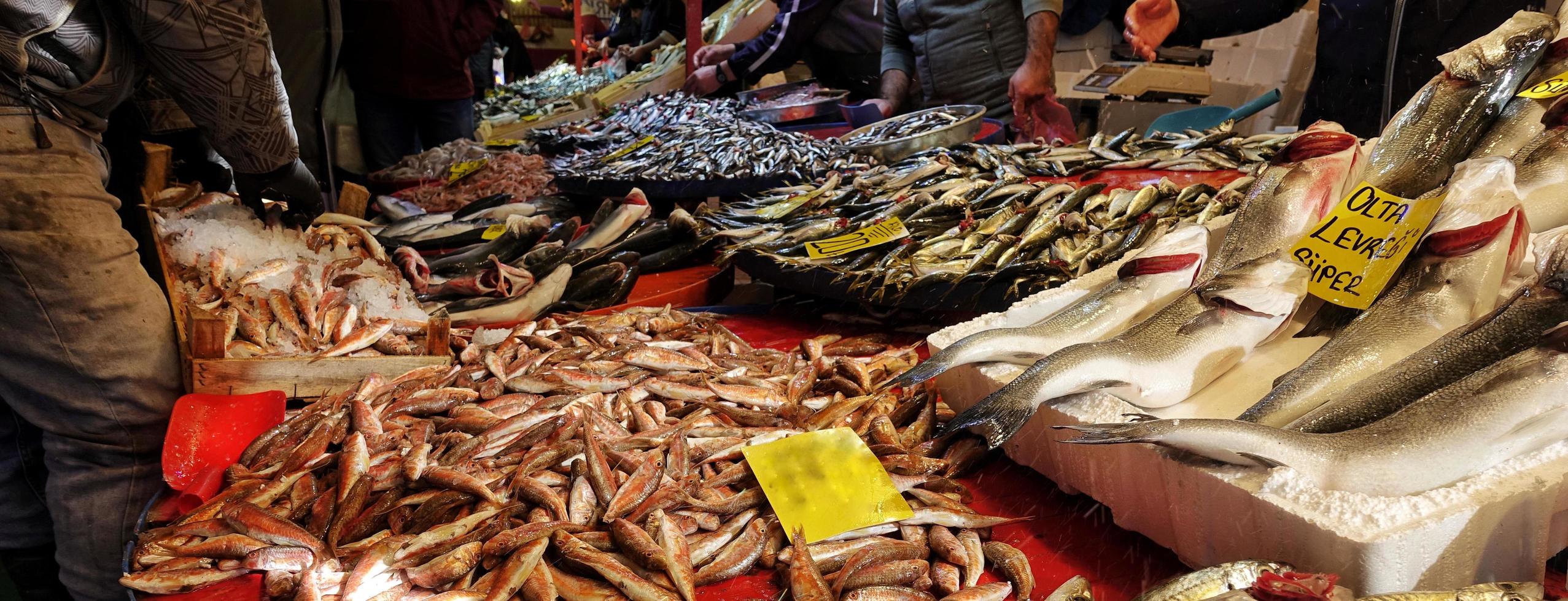 Comida para peces en un puesto de mercado de pescado. foto