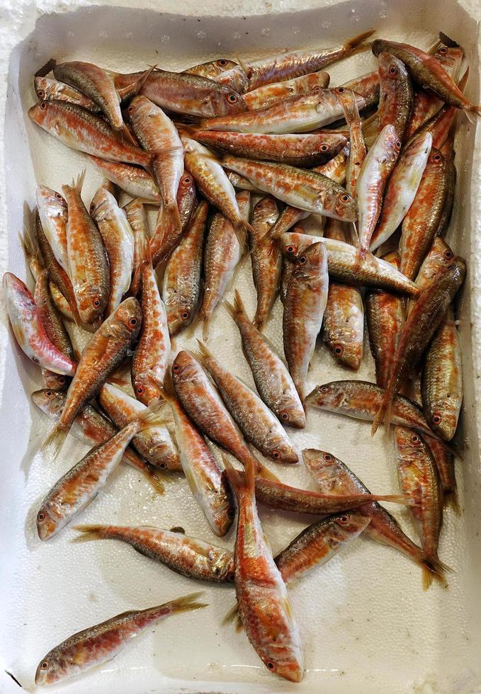 Fish Food in a Fish Market Stand photo