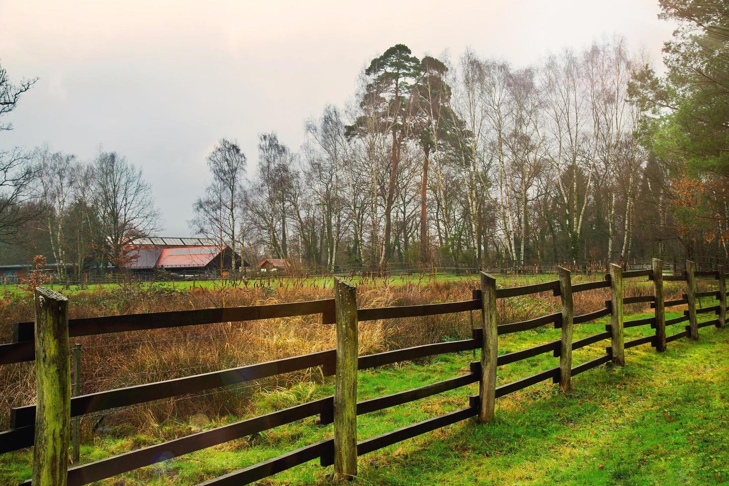 Wooden Fences around Barn and Trees photo